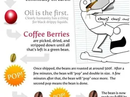 Coffee Infographic