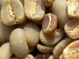 Green beans Robusta Java