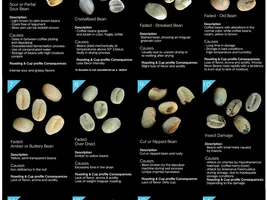 Coffee bean defect chart