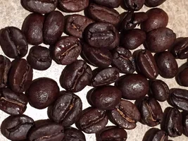 Looking for French Roast Beans that are not too oily.