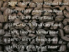Looking for French Roast Beans that are not too oily.