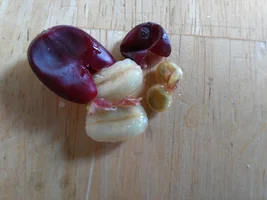 Looking for help reviewing our coffee.