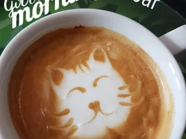 Latte art videos