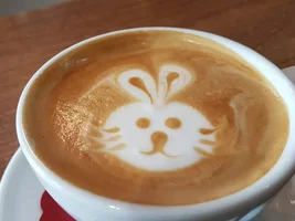 Latte art videos