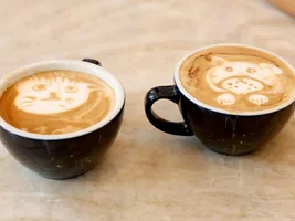 Help: Newbie Latte Art Diagnosis (Cont Update)
