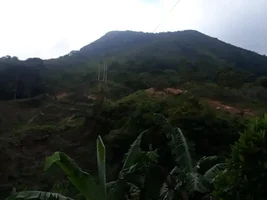 Hello from Colombia, Delgus Coffee 100% Organic