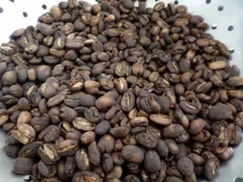 My home roasts!