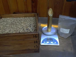 What kind of coffee machines do you own?