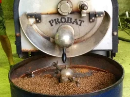 probat lp 5 1992