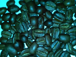 Guatemalan Huehuetenango by FreshRoastedCoffee LLC