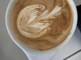 Help: Newbie Latte Art Diagnosis (Cont Update)