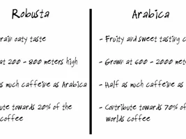 Why Indian coffee tastes so bad?
