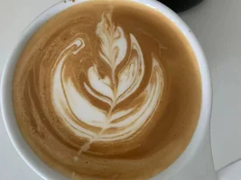 Help: Newbie Latte Art Diagnosis (Cont Update)