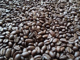 [sell] mandheling green coffee bean