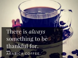 Organic & Curated Coffee Supplier from India