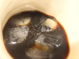 [Need help] Is this real coffee?