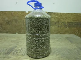 Does Raw Coffee Bean Freshness Matter?
