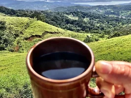 Describe your Coffee in one word?
