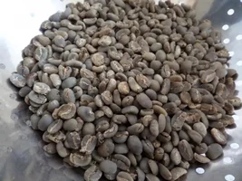 My home roasts!