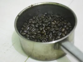 Newbie home roaster