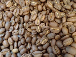 Need Advice, Please: Solar Coffee Roaster from Coffee Tech Israel