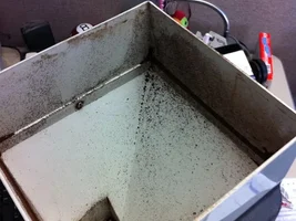 Where to buy non-grinding Coffee Doser?