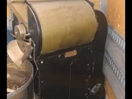 Identify this roaster ( First Post )