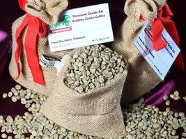 Thai Premium Arabica Green Coffee For Sale