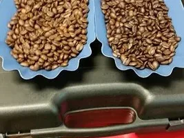 Kaldi home roaster