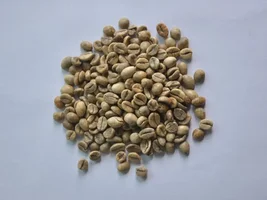 Coffee Robusta from Vietnam1