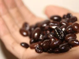 [Need help] Is this real coffee?