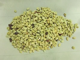 Does Raw Coffee Bean Freshness Matter?