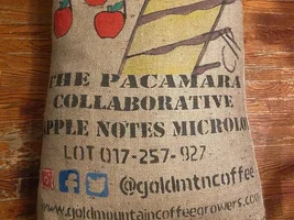Pacamara Collaborative Nicaragua RAW beans For Sale