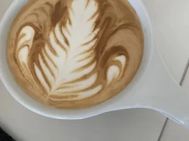 Help: Newbie Latte Art Diagnosis (Cont Update)