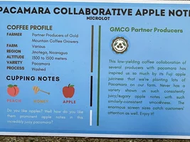 Pacamara Collaborative Nicaragua RAW beans For Sale
