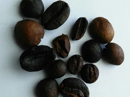 Why Indian coffee tastes so bad?