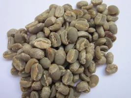 bean storage test