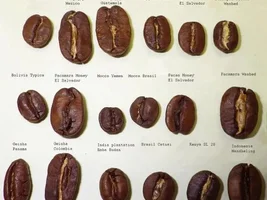 Why Indian coffee tastes so bad?