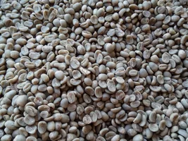 [sell] mandheling green coffee bean