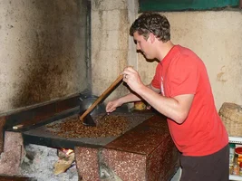 Coda Coffee Named “Roaster of the Year” by Roast Magazine