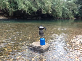 Making Espresso in Nature
