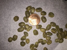FOR SALE: Coffee del Cerro Honduras