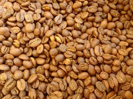 Need Advice, Please: Solar Coffee Roaster from Coffee Tech Israel