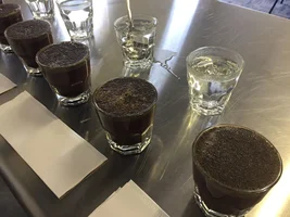 Guatemalan Huehuetenango by FreshRoastedCoffee LLC