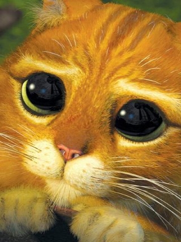 puss-in-boots-from-shrek.jpg