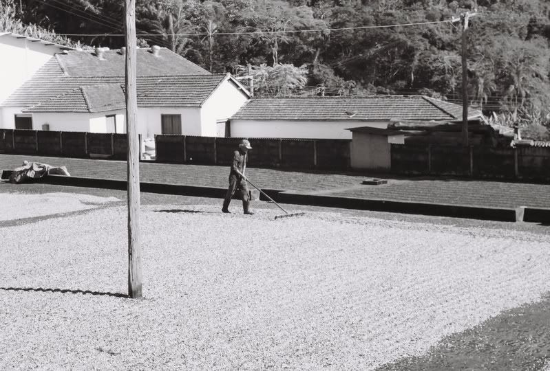 983701-R1-08-8_009.jpg